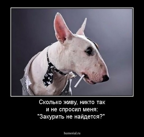 Сколько живу, никто так и не спросил меня: "Закурить не найдется?"