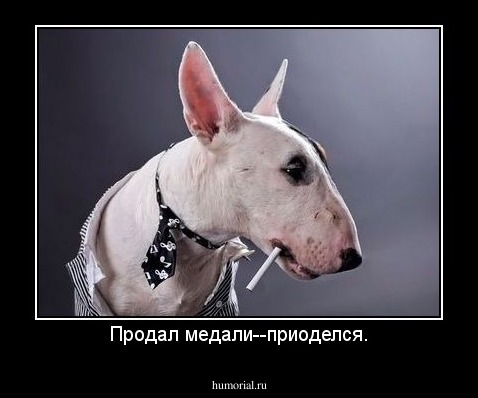 Продал медали--приоделся.