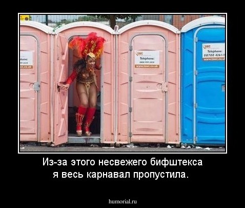 Из-за этого несвежего бифштекса я весь карнавал пропустила.