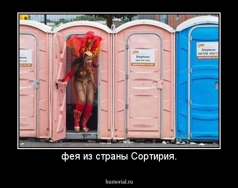 фея из страны Сортирия.