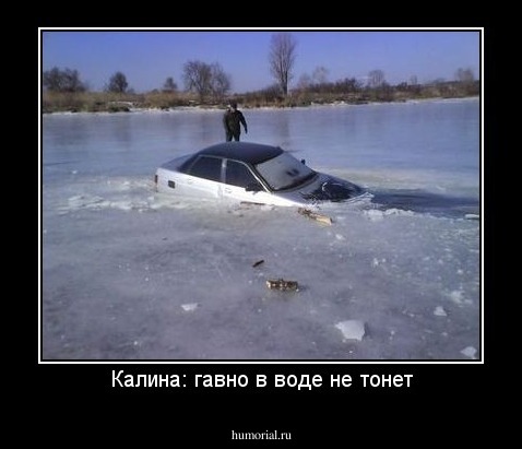 Калина: гавно в воде не тонет
