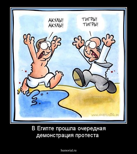 В Египте прошла очередная демонстрация протеста