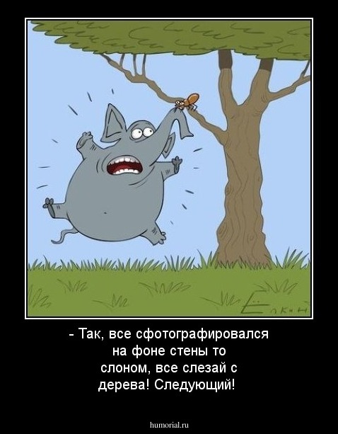 - Так, все сфотографировался на фоне стены то слоном, все слезай с дерева! Следующий!