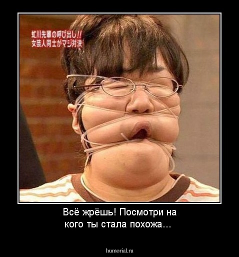 Всё жрёшь! Посмотри на кого ты стала похожа...