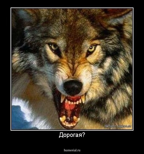 Дорогая?