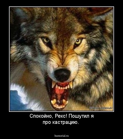 Спокойно, Рекс! Пошутил я про кастрацию.