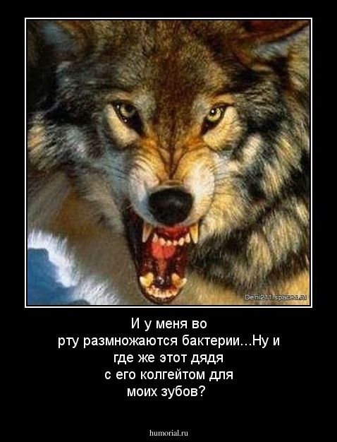И у меня во рту размножаются бактерии...Ну и где же этот дядя с его колгейтом для моих зубов?