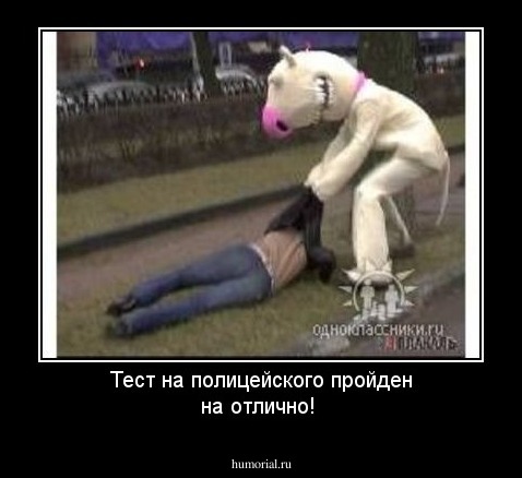 Тест на полицейского пройден на отлично!