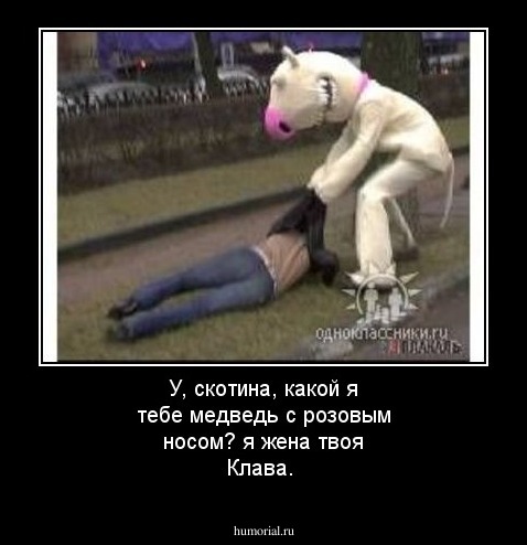 У, скотина, какой я тебе медведь с розовым носом? я жена твоя Клава.