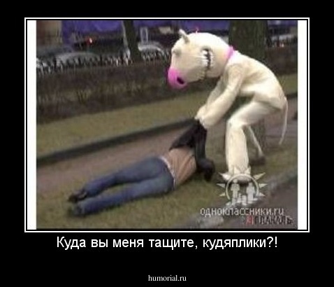 Куда вы меня тащите, кудяплики?!