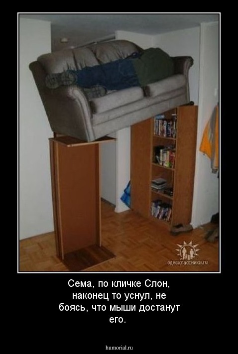 Сема, по кличке Слон, наконец то уснул, не боясь, что мыши достанут его.