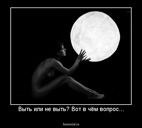 Выть или не выть? Вот в чём вопрос...