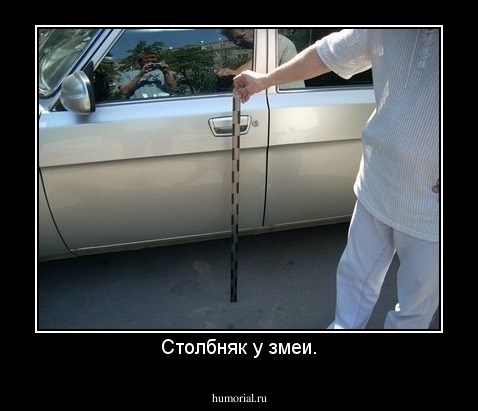 Столбняк у змеи.