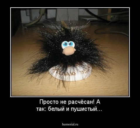 Просто не расчёсан! А так: белый и пушистый...