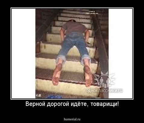 Верной дорогой идёте, товарищи!