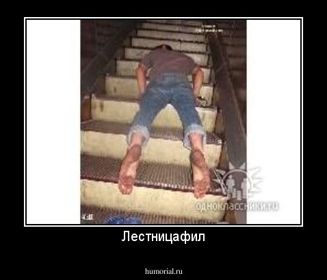 Лестницафил