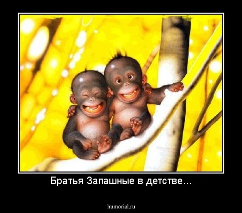 Братья Запашные в детстве...