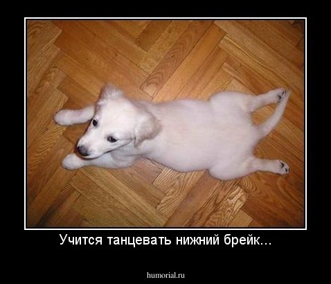 Учится танцевать нижний брейк...