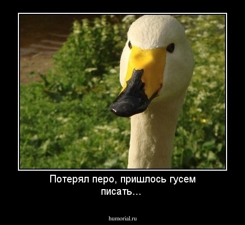 Потерял перо, пришлось гусем писать...