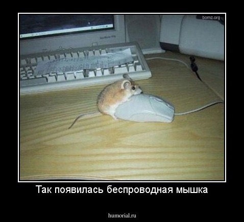 Так появилась беспроводная мышка