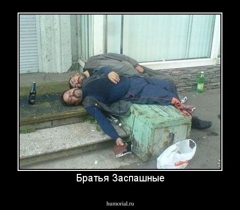 Братья Заспашные