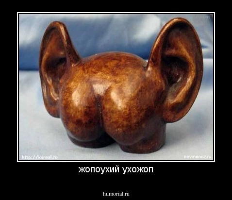 жопоухий ухожоп