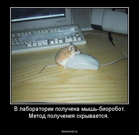 В лаборатории получена мышь-биоробот. Метод получения скрывается.