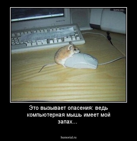 Это вызывает опасения: ведь компьютерная мышь имеет мой запах...