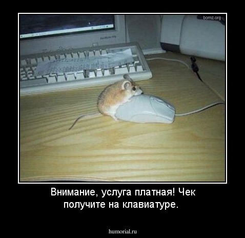 Внимание, услуга платная! Чек получите на клавиатуре.