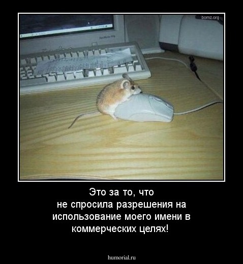 Это за то, что не спросила разрешения на использование моего имени в коммерческих целях!