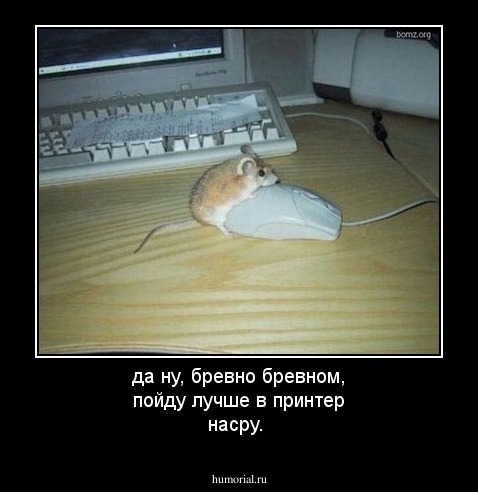 да ну, бревно бревном, пойду лучше в принтер насру.