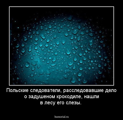 Польские следователи, расследовавшие дело о задушеном крокодиле, нашли в лесу его слезы.