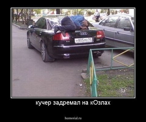 кучер задремал на кОзлах