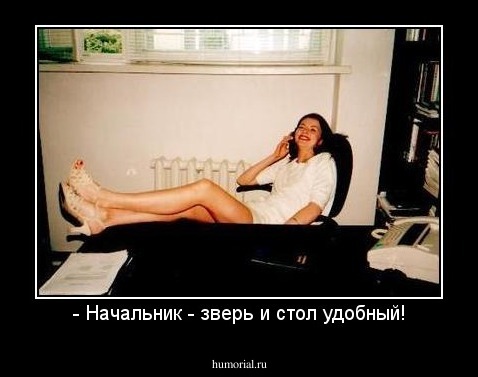 - Начальник - зверь и стол удобный!