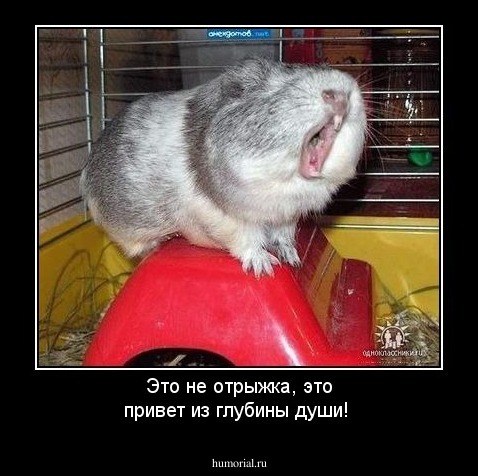 Это не отрыжка, это привет из глубины души!