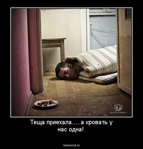 Теща приехала.....а кровать у нас одна!