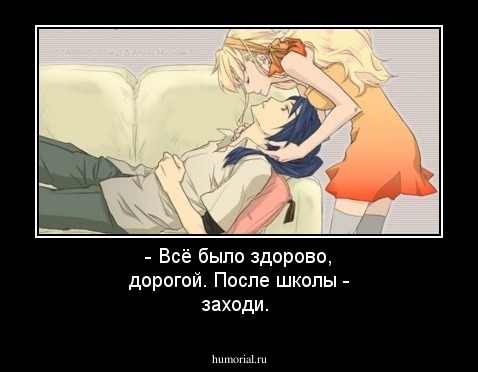 - Всё было здорово, дорогой. После школы - заходи.