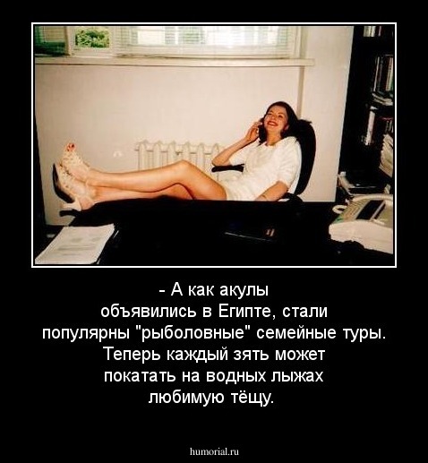 - А как акулы объявились в Египте, стали популярны "рыболовные" семейные туры. Теперь каждый зять может покатать на водных лыжах любимую тёщу.