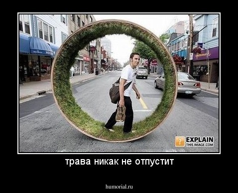 трава никак не отпустит