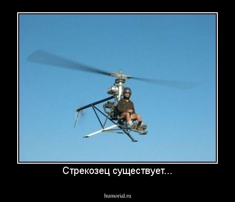 Стрекозец существует...