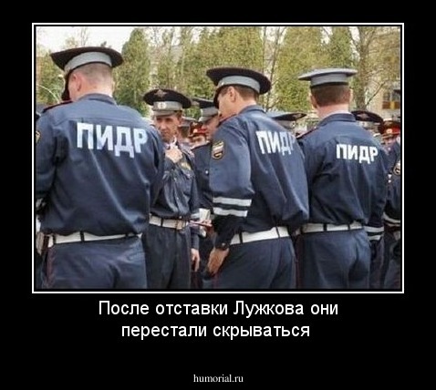 После отставки Лужкова они перестали скрываться