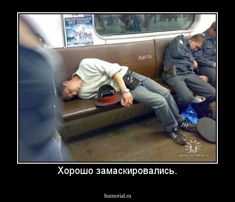 Хорошо замаскировались.