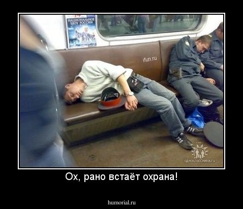 Ох, рано встаёт охрана!