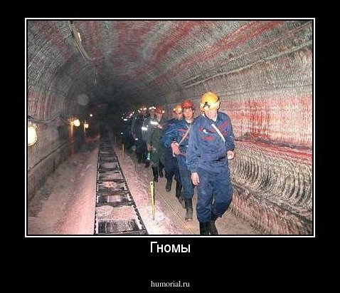 Гномы