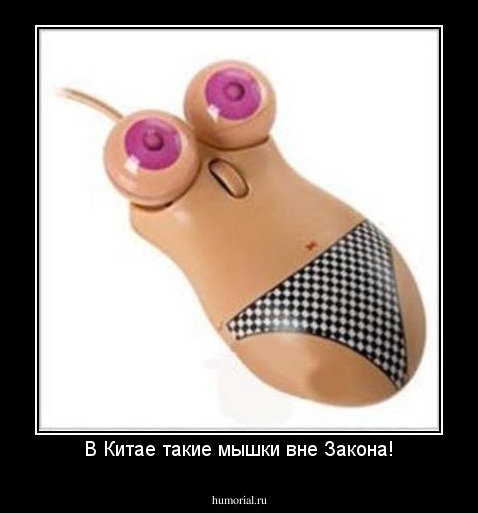 В Китае такие мышки вне Закона!