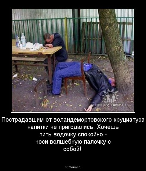 Пострадавшим от воландемортовского круциатуса напитки не пригодились. Хочешь пить водочку спокойно - носи волшебную палочку с собой!