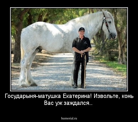 Государыня-матушка Екатерина! Извольте, конь Вас уж заждался..