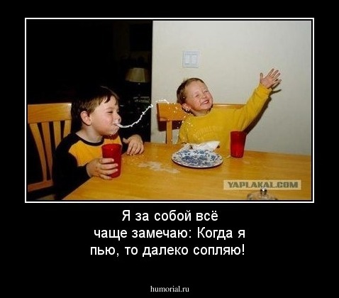 Я за собой всё чаще замечаю: Когда я пью, то далеко сопляю!