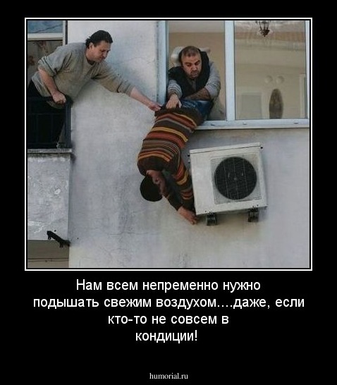 Нам всем непременно нужно подышать свежим воздухом....даже, если кто-то не совсем в кондиции!