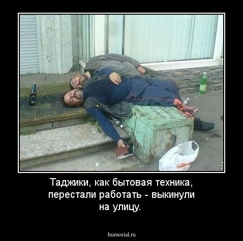 Таджики, как бытовая техника, перестали работать - выкинули на улицу.